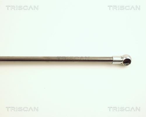 Vérin (Vérin de hayon) Triscan A/S ref. 8710 16229