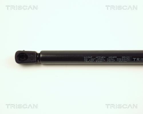Vérin (Vérin de hayon) Triscan A/S 8710 16230