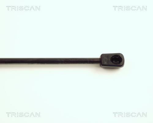 Vérin (Vérin de hayon) Triscan A/S 8710 16230