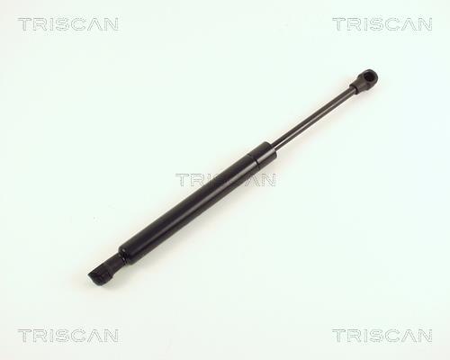 Cilindro Triscan A/S 8710 16231