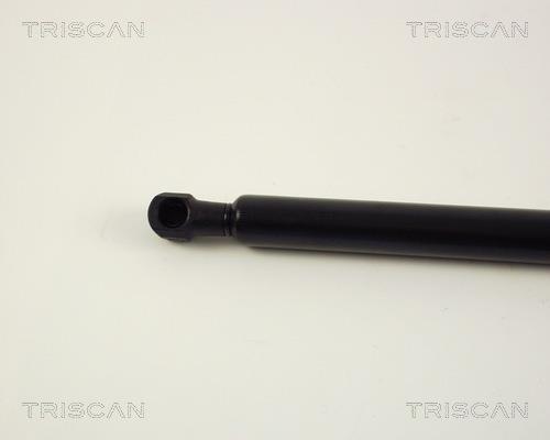 Cilindro Triscan A/S 8710 16231