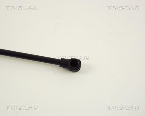 Cilindro Triscan A/S 8710 16231