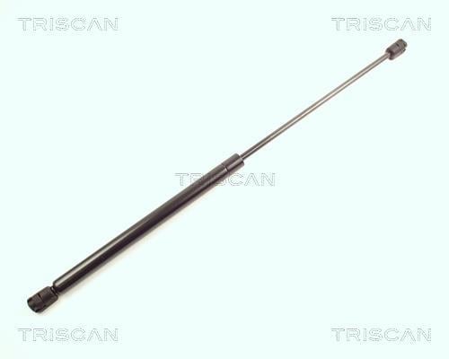 Vérin (Vérin de hayon) Triscan A/S ref. 8710 16232