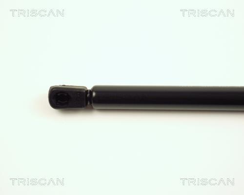 Vérin (Vérin de hayon) Triscan A/S ref. 8710 16233