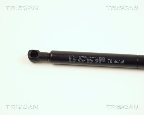 Vérin (Vérin de hayon) Triscan A/S ref. 8710 16234