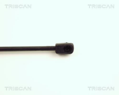 Vérin (Vérin de hayon) Triscan A/S 8710 16235