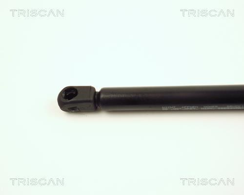 Vérin (Vérin de hayon) Triscan A/S 8710 16236