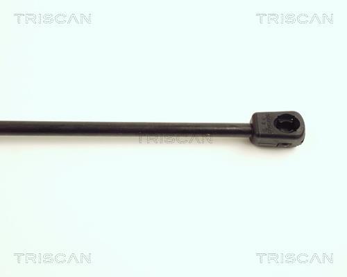 Vérin (Vérin de hayon) Triscan A/S 8710 16236