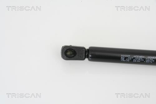 Vérin (Vérin de hayon) Triscan A/S 8710 16238