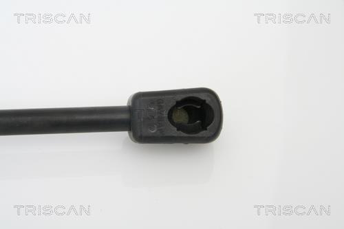 Vérin (Vérin de hayon) Triscan A/S 8710 16238