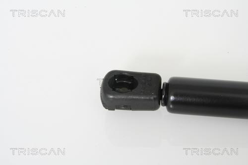 Vérin (Vérin de hayon) Triscan A/S 8710 16239