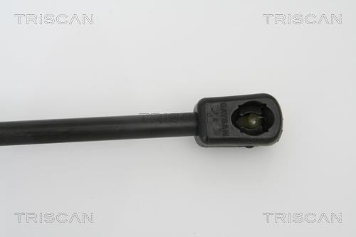 Vérin (Vérin de hayon) Triscan A/S 8710 16239