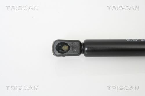 Muelle neumático Triscan A/S ref. 8710 16240