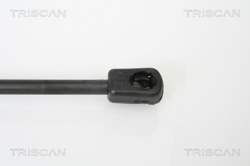 Muelle neumático Triscan A/S ref. 8710 16240