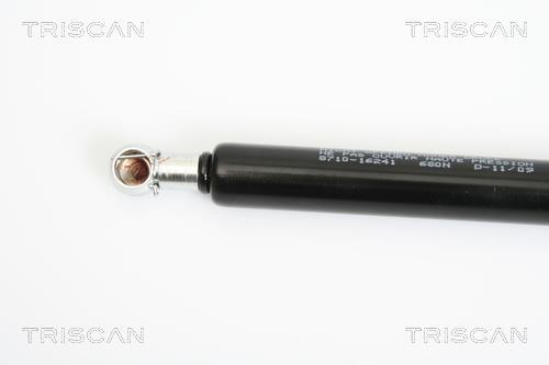 Vérin (Vérin de hayon) Triscan A/S 8710 16241