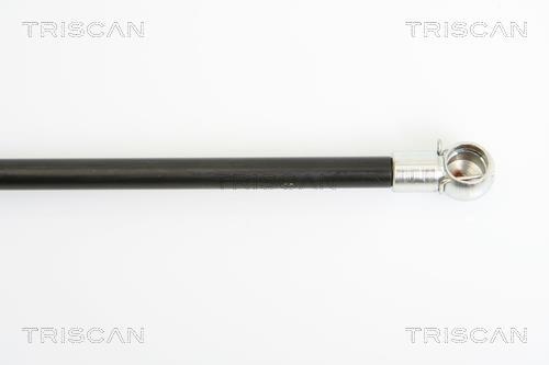 Vérin (Vérin de hayon) Triscan A/S 8710 16241