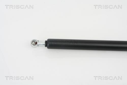 Vérin (Vérin de hayon) Triscan A/S 8710 16242