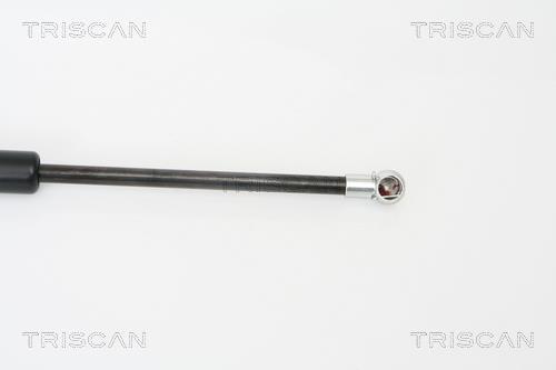 Vérin (Vérin de hayon) Triscan A/S 8710 16242