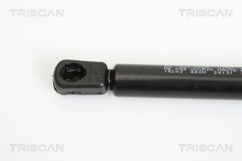 Muelle neumático Triscan A/S 8710 16243