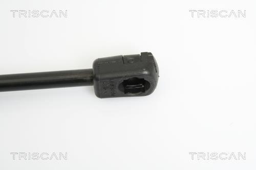 Muelle neumático Triscan A/S 8710 16243