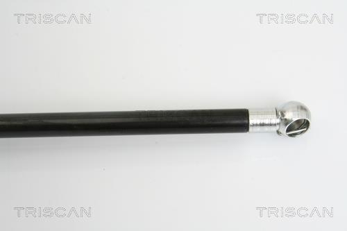 Vérin (Vérin de hayon) Triscan A/S ref. 8710 16244