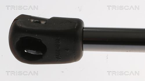 Vérin (Vérin de hayon) Triscan A/S 8710 16245