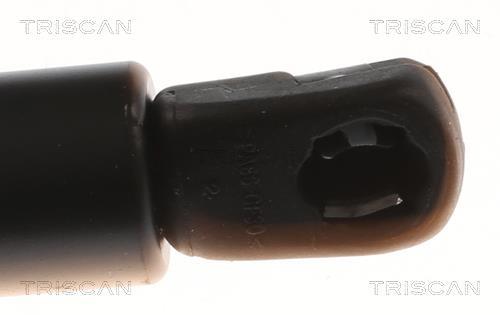 Vérin (Vérin de hayon) Triscan A/S 8710 16245