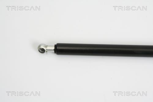 Vérin (Vérin de hayon) Triscan A/S ref. 8710 16246