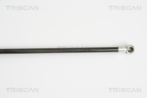 Vérin (Vérin de hayon) Triscan A/S ref. 8710 16246