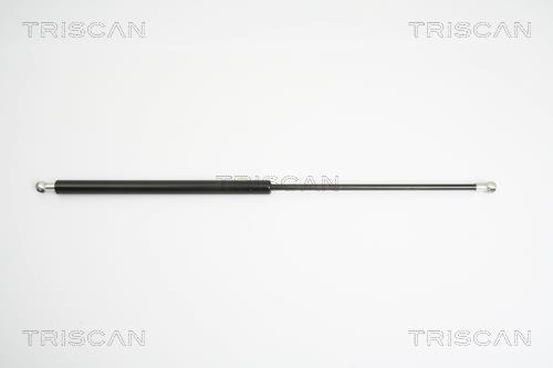 Muelle neumático Triscan A/S 8710 16247