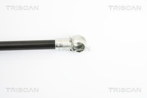 Muelle neumático Triscan A/S 8710 16247