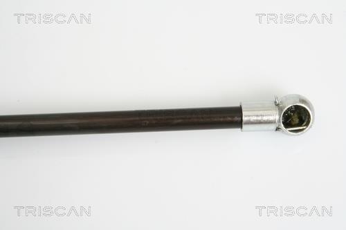 Vérin (Vérin de hayon) Triscan A/S ref. 8710 16248
