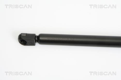 Vérin (Vérin de hayon) Triscan A/S 8710 16249