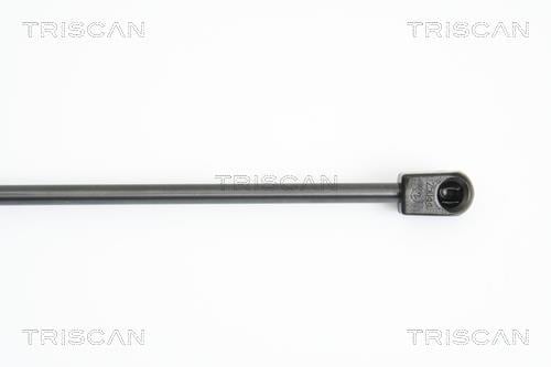 Vérin (Vérin de hayon) Triscan A/S 8710 16249