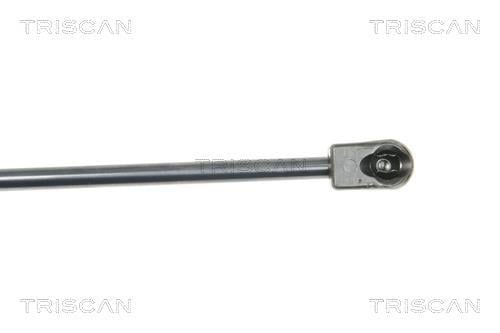 Muelle neumático Triscan A/S ref. 8710 16251