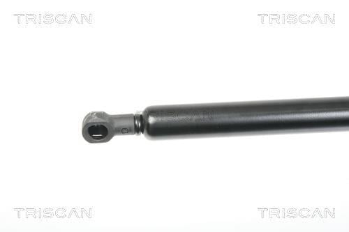 Vérin (Vérin de hayon) Triscan A/S 8710 16252