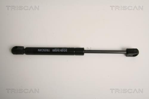 Vérin (Vérin de hayon) Triscan A/S 8710 16253