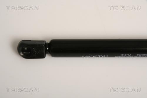 Vérin (Vérin de hayon) Triscan A/S 8710 16253