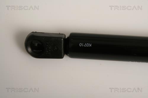 Muelle neumático Triscan A/S 8710 16254