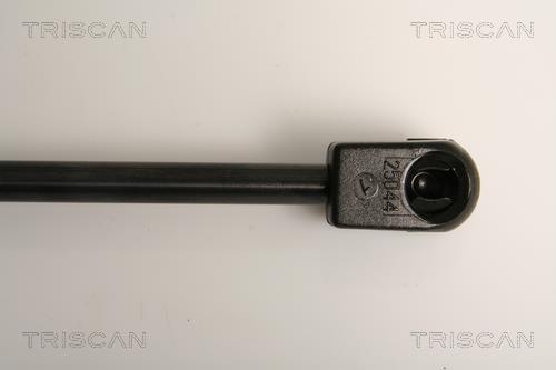 Muelle neumático Triscan A/S 8710 16254
