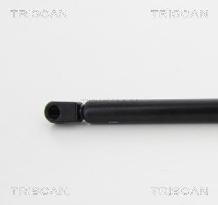 Vérin (Vérin de hayon) Triscan A/S 8710 16255