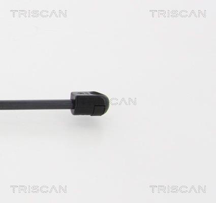Vérin (Vérin de hayon) Triscan A/S 8710 16255