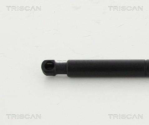 Vérin (Vérin de hayon) Triscan A/S 8710 16256