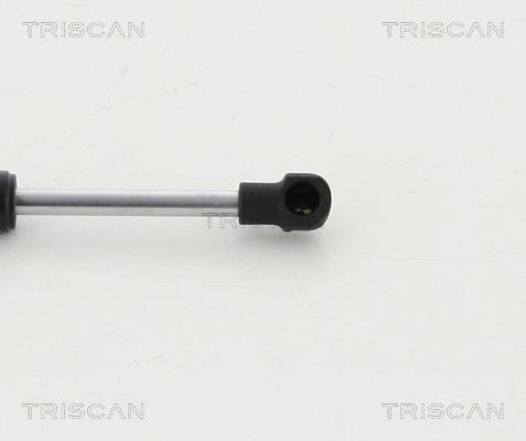 Vérin (Vérin de hayon) Triscan A/S 8710 16256