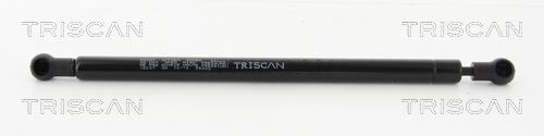 Vérin (Vérin de hayon) Triscan A/S ref. 8710 16257