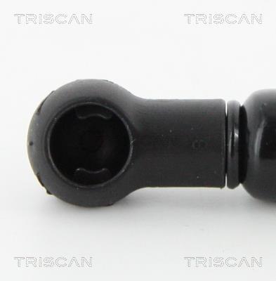 Vérin (Vérin de hayon) Triscan A/S ref. 8710 16257