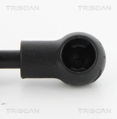 Vérin (Vérin de hayon) Triscan A/S ref. 8710 16257