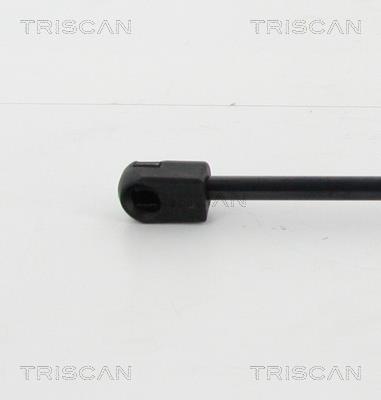 Vérin (Vérin de hayon) Triscan A/S 8710 16260