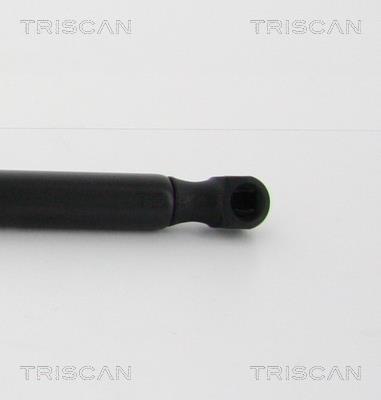 Vérin (Vérin de hayon) Triscan A/S 8710 16260