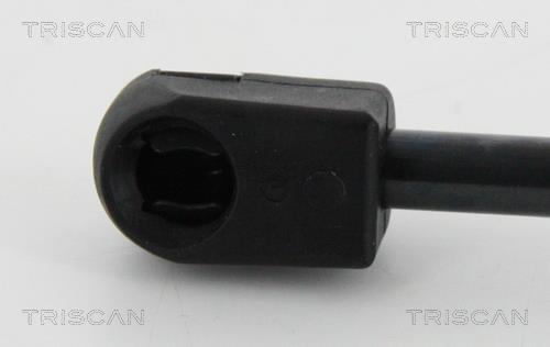 Muelle neumático Triscan A/S ref. 8710 16261